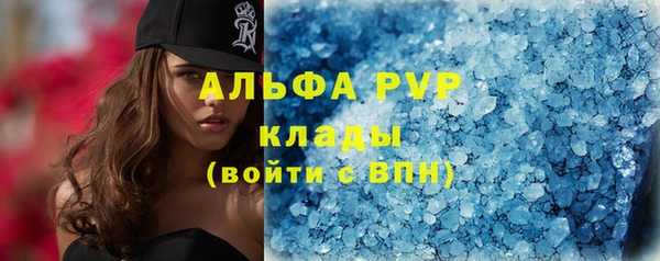 PSILOCYBIN Белокуриха