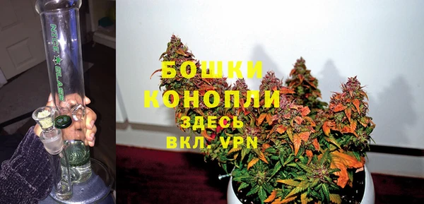 PSILOCYBIN Белокуриха
