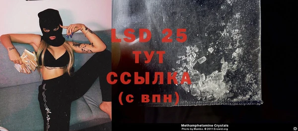PSILOCYBIN Белокуриха